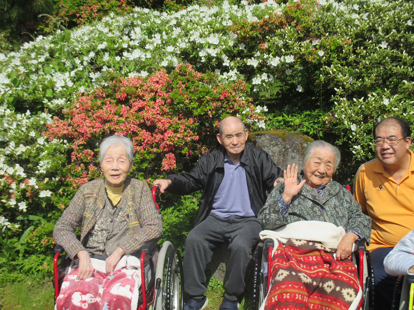 つつじのお花見