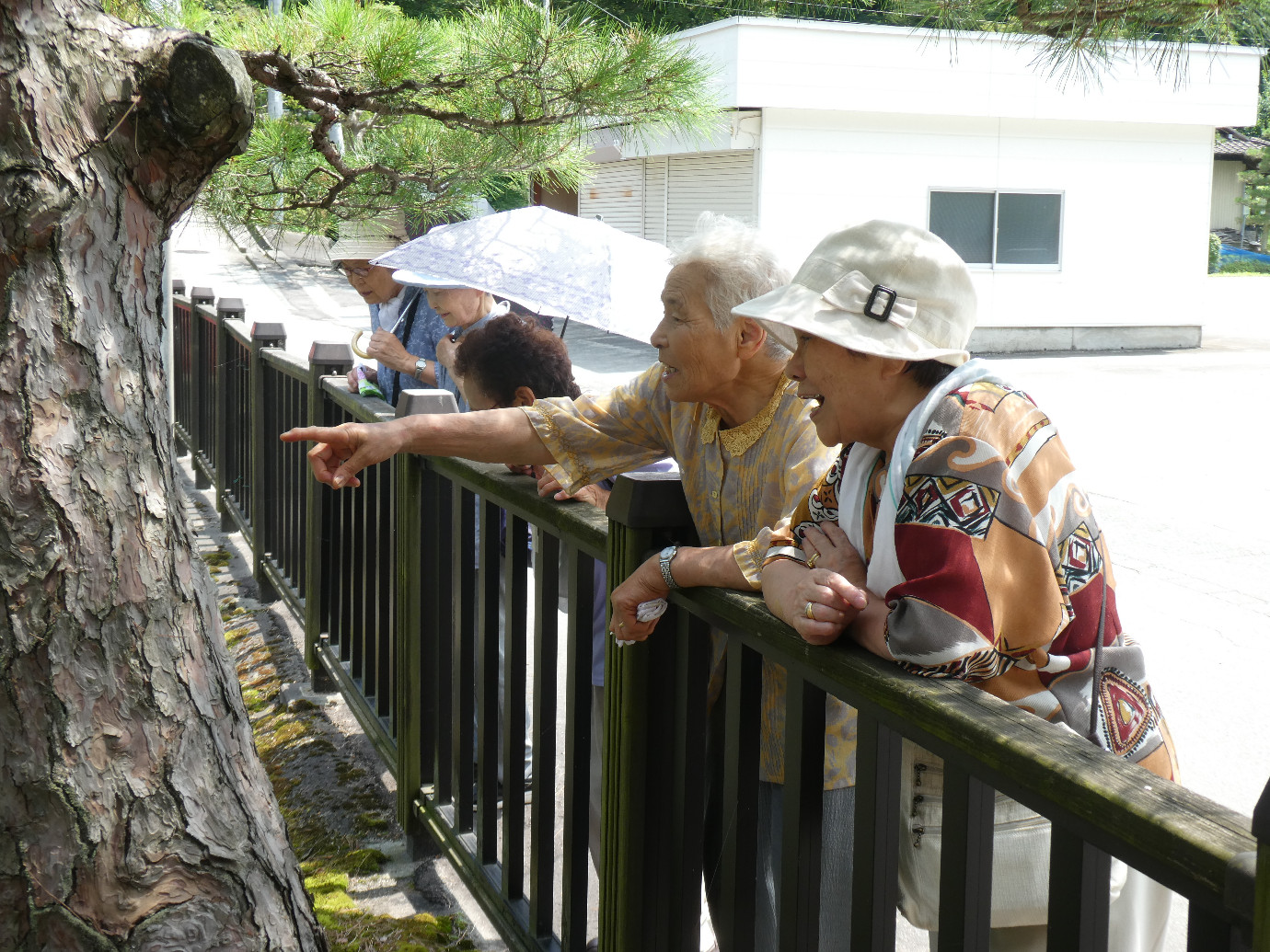 蓮の花・お寺巡り