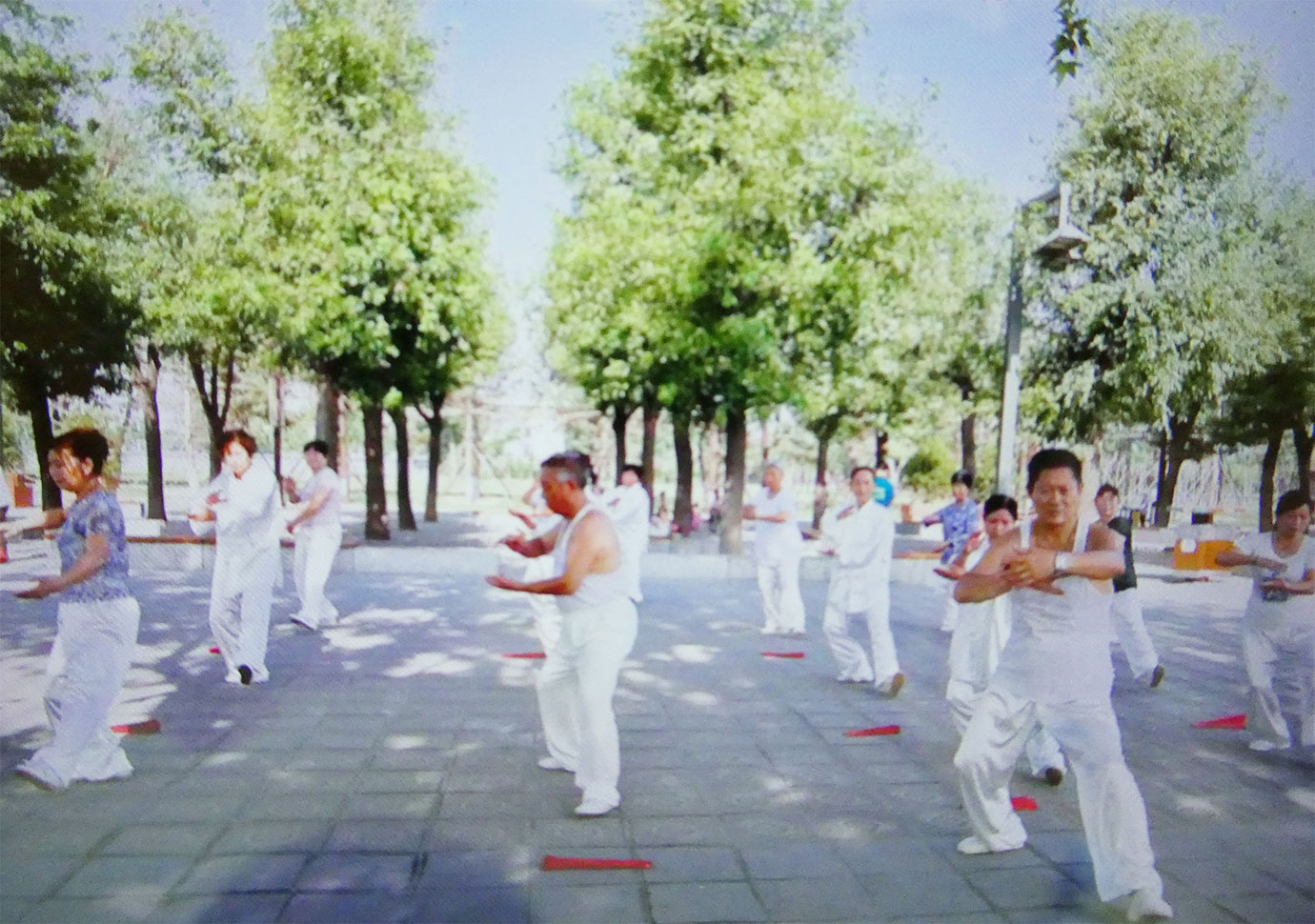 晨练太极拳