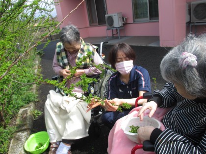 春の陽気